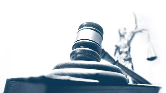 consulenza area appalti rup