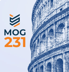 mog 231 compliance