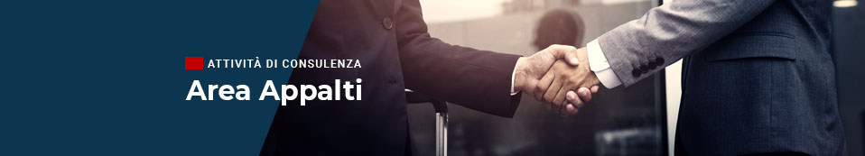 area-appalti-consulenza-digitalpa